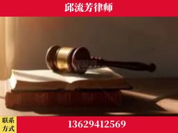 资阳-疑难刑事案件处理
